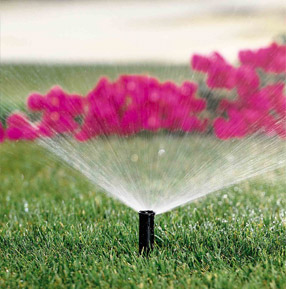 Irrigazione giardini Irrigazione giardini