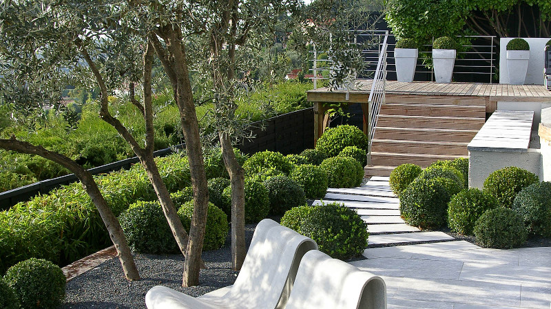 realizzazione giardini: un giardino mediterraneo